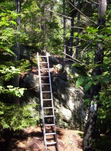 A ladder to get up and over a particularly steep section of trail
