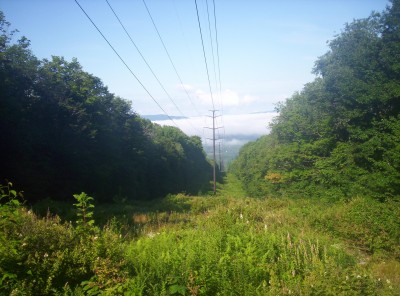 A morning view through a clear-cut section of forest so that power lines could pass through