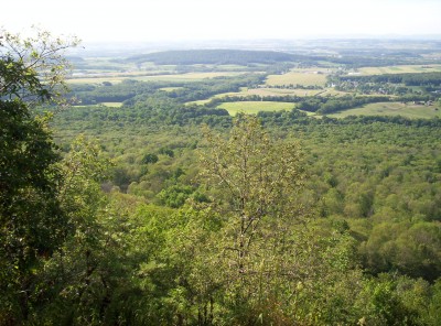 A panoramic view just south of 501 Shelter, overlooking trees and farmlands