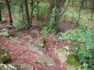 The rattlesnake crawling over the rock near center