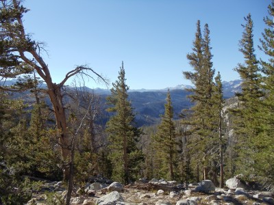 A trailside view