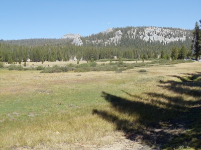 Tuolumne Meadow, surrounded by low-lying hills and mountains