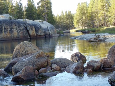 Looking north along the gentle Lyell Fork past various boulders submerged in it