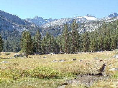 A grassy meadow near the southern end of Lyell Canyon, just before the ascent to Donahue Pass starts